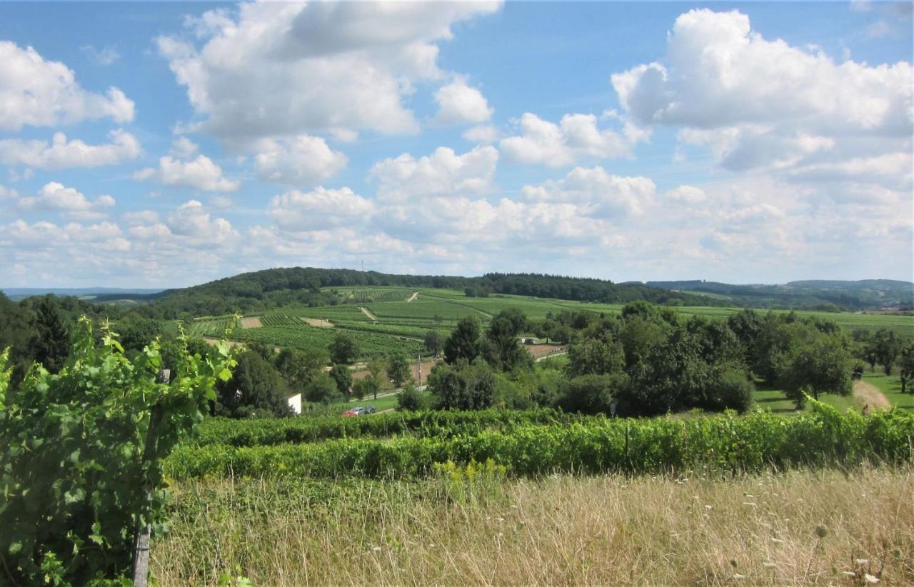 Mergl's * Bad Schonborn